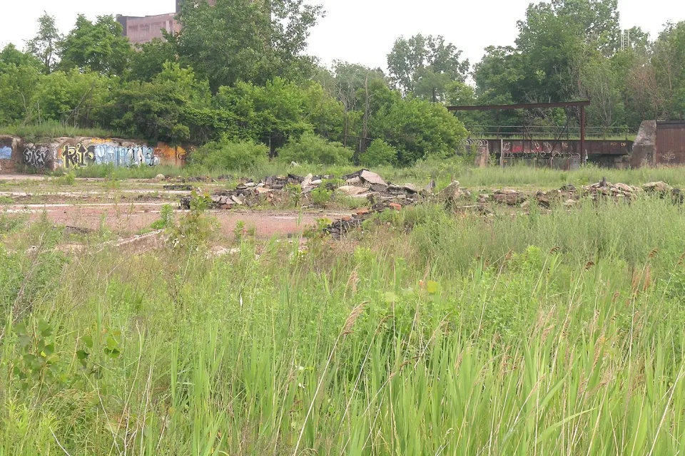 Vacant grassy lot with some cemet debris in Detroit, Michigan